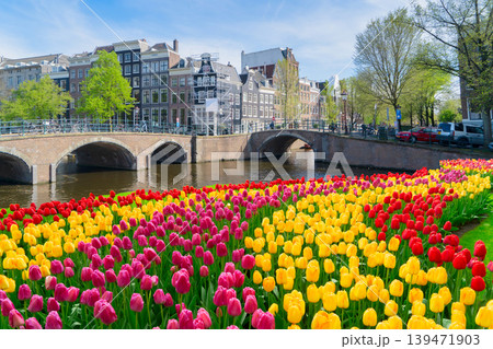 Houses of Amstardam, Netherlands 139471903