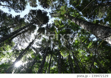 甲武信ヶ岳登山、長野、山梨、埼玉 139472129