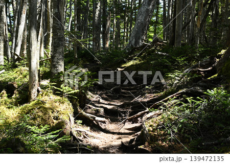 甲武信ヶ岳登山、長野、山梨、埼玉 甲武信ヶ岳登山、長野、山梨、埼玉 139472135