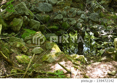 甲武信ヶ岳登山、長野、山梨、埼玉 139472142