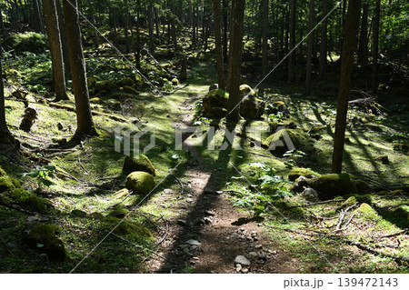 甲武信ヶ岳登山、長野、山梨、埼玉 139472143