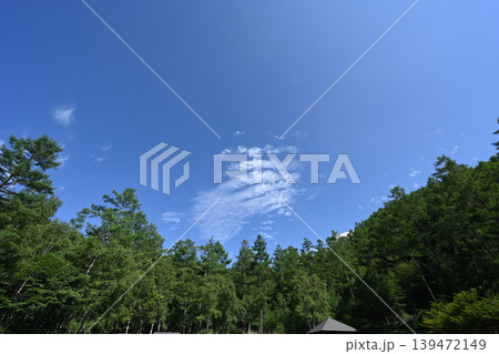 甲武信ヶ岳登山、長野、山梨、埼玉 139472149