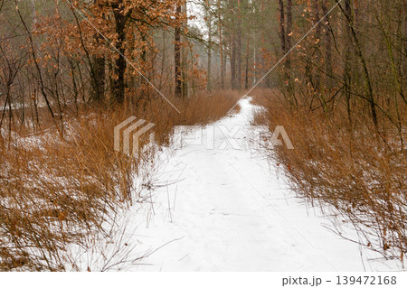 winter road through a forest covered with snow winter road through a forest covered with snow 139472168