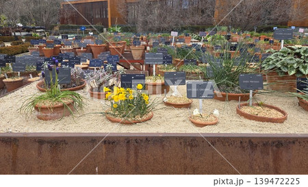 Seedling display of potted bulbs and labeled trays at botanical nursery for gardening background and plant collection poster design Seedling display of potted bulbs and labeled trays at botanical nursery for gardening background and plant collection poster design 139472225