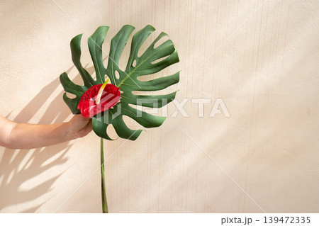 tropical leaves greenery 139472335