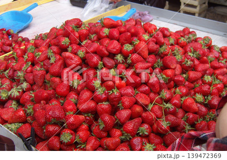 Large, vibrant pile of fresh red strawberries with green hulls at a market. The image displays a high-density heap of ripe, juicy berries, showcasing natural texture and bright summer colors Large, vibrant pile of fresh red strawberries with green hulls at a market. The image displays a high-density heap of ripe, juicy berries, showcasing natural texture and bright summer colors 139472369