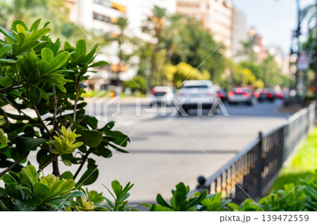 Green Urban Plants With Blurred Traffic In Valencia Green Urban Plants With Blurred Traffic In Valencia 139472559