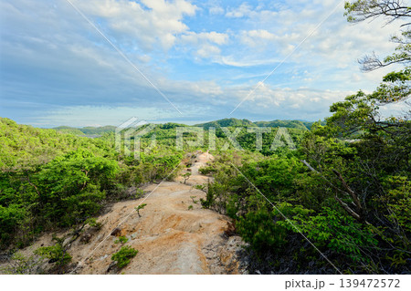 大岩ヶ岳の登山道 139472572