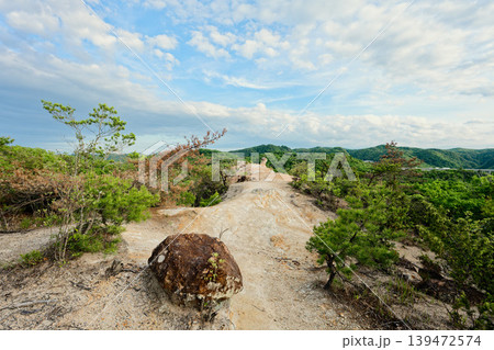 大岩ヶ岳の登山道 大岩ヶ岳の登山道 139472574