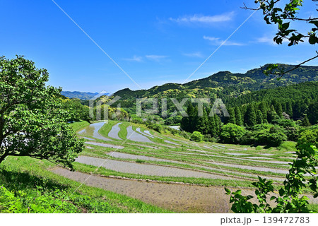 大山千枚田（棚田）千葉県鴨川市 139472783