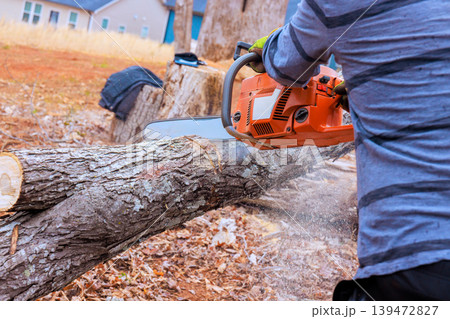 Handy worker operates chainsaw to cut tree log in backyard while wood chips fly around 139472827