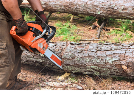 Worker cuts log with chainsaw in forest filled with fallen trees greenery during deforestation Worker cuts log with chainsaw in forest filled with fallen trees greenery during deforestation 139472856
