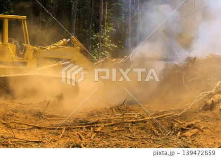 Bulldozer clears fallen trees in forest, kicking up dust debris while smoke rises in air Bulldozer clears fallen trees in forest, kicking up dust debris while smoke rises in air 139472859