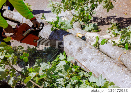 Work man uses chainsaw to cut fallen tree while clearing street after strong tornado storm caused damage. Work man uses chainsaw to cut fallen tree while clearing street after strong tornado storm caused damage. 139472988