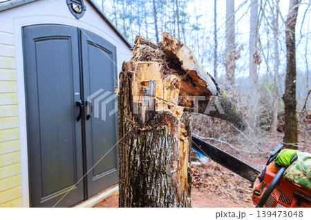 Handyman uses chainsaw to cut down tree stump near shed after hurricane 139473048