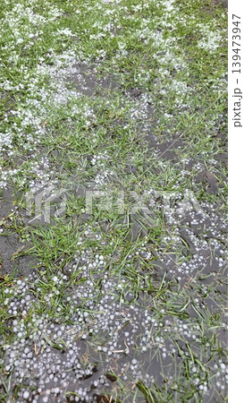 Hailstones scattered over wet grass and puddles after spring storm, natural weather texture for climate, precipitation and seasonal change concepts. 139473947
