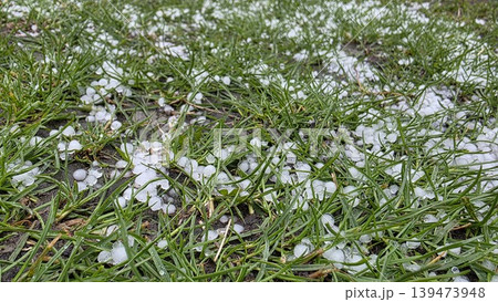 Close-up of hail on green grass after rain, fresh seasonal weather background for spring storm, cold snap, precipitation and environmental themes. Close-up of hail on green grass after rain, fresh seasonal weather background for spring storm, cold snap, precipitation and environmental themes. 139473948