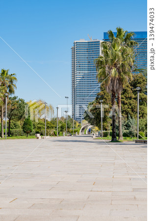 A green city park with trees and modern residential buildings in the background. 139474033