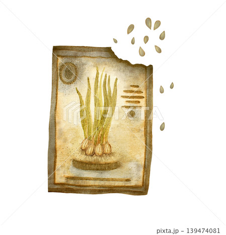 A packet of seeds for planting, a hand-drawn watercolor illustration. Isolated on a white background. Perfect for printing postcards, posters, packaging and textiles 139474081