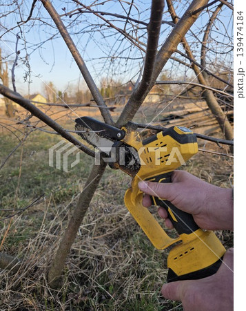 Man uses small yellow battery-powered chainsaw to prune thin branches of a young fruit tree in early spring against a rural landscape background. Concept of seasonal garden care Man uses small yellow battery-powered chainsaw to prune thin branches of a young fruit tree in early spring against a rural landscape background. Concept of seasonal garden care 139474184