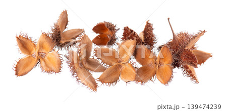Beechnuts seeds isolated on white background. European beech nuts or Fagus sylvatica. Clipping path. 139474239