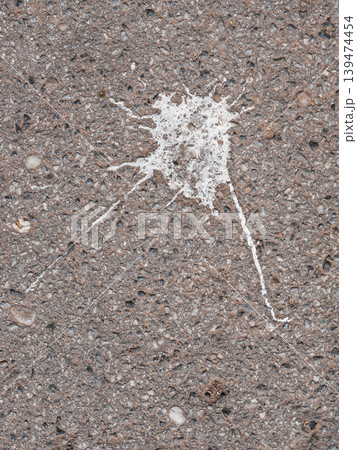 Close-up of bird droppings on rough asphalt surface. Dirty urban texture background with natural splatter pattern and gritty street detail. 139474454