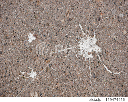 Close-up of bird droppings on rough asphalt surface. Dirty urban texture background with natural splatter pattern and gritty street detail. Close-up of bird droppings on rough asphalt surface. Dirty urban texture background with natural splatter pattern and gritty street detail. 139474456