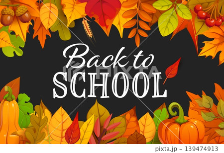 Back to school banner with autumn fall leaves, berries and acorns. Back to school education banner or flyer. Autumn knowledge day poster with pumpkin, trees foliage and wild berries, chalk typography 139474913
