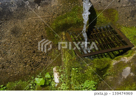 湧水の出る所 湧水の出る所 139474969