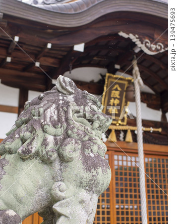神社の狛犬のクローズアップ 神社の狛犬のクローズアップ 139475693