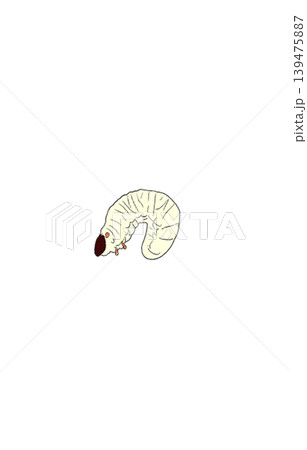 うごめく幼虫 うごめく幼虫 139475887