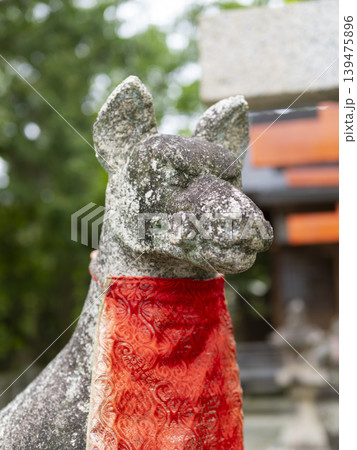 稲荷神社の狛狐 139475896