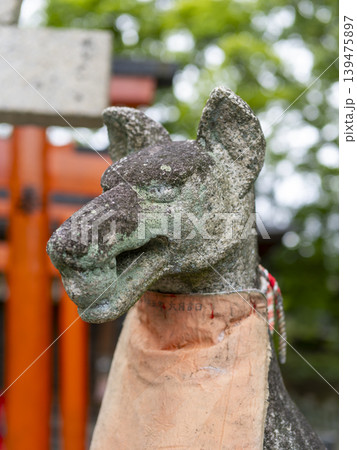 稲荷神社の狛狐 稲荷神社の狛狐 139475897