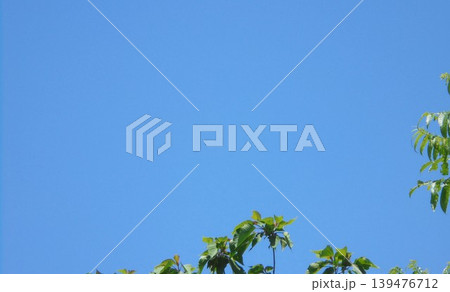 新緑　青空 139476712