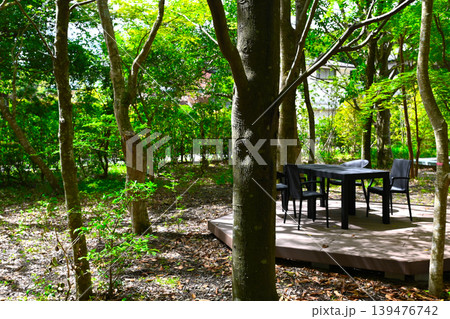 箱根 カフェ葵の景色 箱根 カフェ葵の景色 139476742
