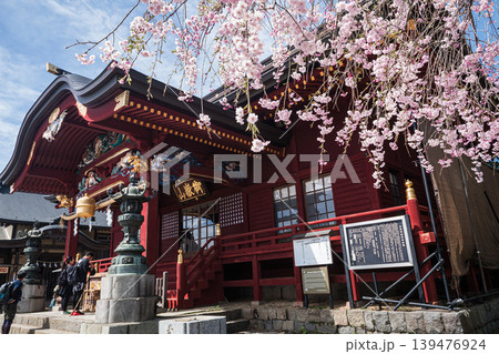 東京都御岳武蔵御嶽神社春の社で整える 東京都御岳武蔵御嶽神社春の社で整える 139476924