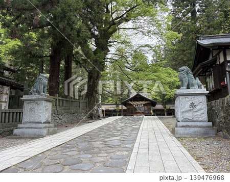 春の諏訪大社春宮 春の諏訪大社春宮 139476968