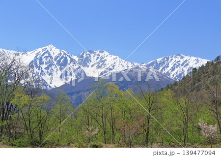 白馬の春 山麓から望む白馬三山 白馬の春 山麓から望む白馬三山 139477094