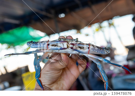 Closeup of fresh blue crab held by hand at local seafood market with shallow depth and natural coastal atmosphere 139478076