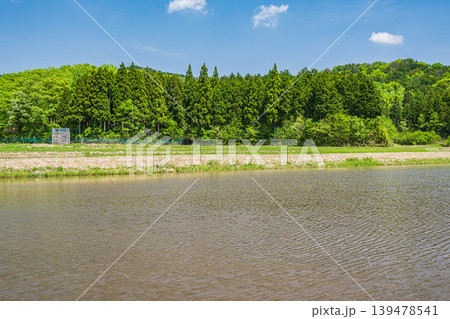 奥琵琶湖の田園風景　水を張った田んぼ　滋賀県長浜市西浅井町 139478541