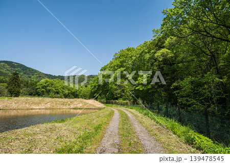 奥琵琶湖の田園風景 新緑の季節 滋賀県長浜市西浅井町 奥琵琶湖の田園風景 新緑の季節 滋賀県長浜市西浅井町 139478545