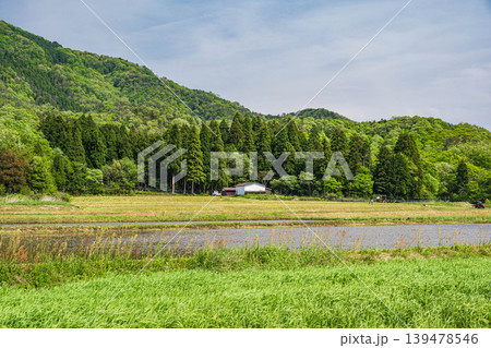 奥琵琶湖の田園風景 滋賀県長浜市西浅井町 奥琵琶湖の田園風景 滋賀県長浜市西浅井町 139478546