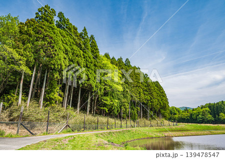 奥琵琶湖の田園風景 滋賀県長浜市西浅井町 奥琵琶湖の田園風景 滋賀県長浜市西浅井町 139478547