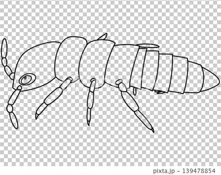 A stylized illustration of a springtail (Liniera) from the Devonian period. 139478854