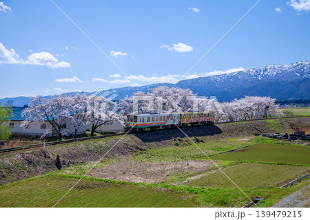 桜とローカル電車 139479215