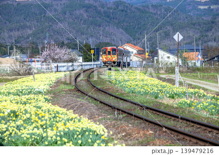 水仙と電車 139479216