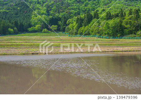奥琵琶湖の田園風景 水を張った田んぼ 滋賀県長浜市西浅井町 奥琵琶湖の田園風景 水を張った田んぼ 滋賀県長浜市西浅井町 139479396