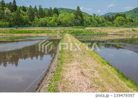 奥琵琶湖の田園風景 水を張った田んぼ 滋賀県長浜市西浅井町 奥琵琶湖の田園風景 水を張った田んぼ 滋賀県長浜市西浅井町 139479397