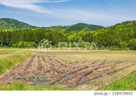 奥琵琶湖の田園風景 滋賀県長浜市西浅井町 奥琵琶湖の田園風景 滋賀県長浜市西浅井町 139479403