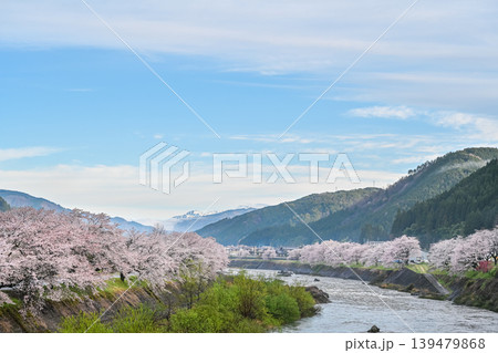 雨上がりの澄んだ朝 山に霧がかかる朝方の桜と雪山の風景写真 【岐阜県 郡上市】 雨上がりの澄んだ朝 山に霧がかかる朝方の桜と雪山の風景写真 【岐阜県 郡上市】 139479868